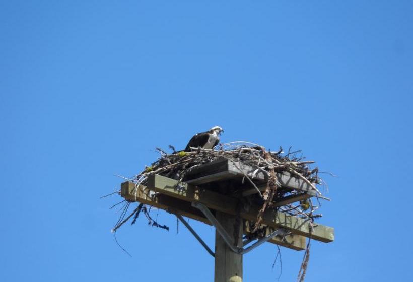 St Marys River B&b | Cranbrook | British Columbia | Canada 8