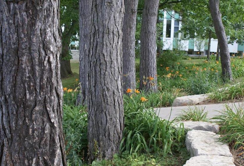 Hotel Clare Hall At Brescia University College | London | Ontario | Canada 8