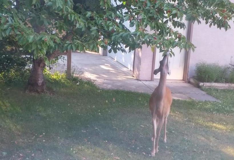 Cornerstone Bed And Breakfast | Revelstoke | British Columbia | Canada 3