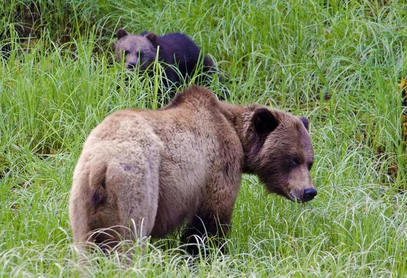 Motel Mumfords Lodging | Terrace | British Columbia | Canada 7