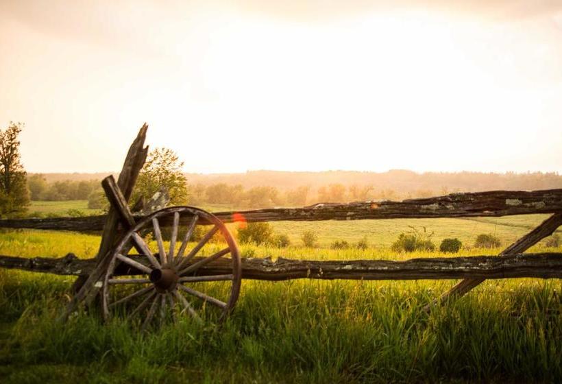 Laura S Bed & Breakfast | Kingston | Ontario | Canada 1