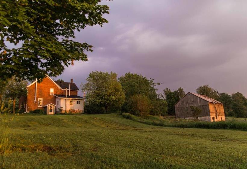 Laura S Bed & Breakfast | Kingston | Ontario | Canada 10