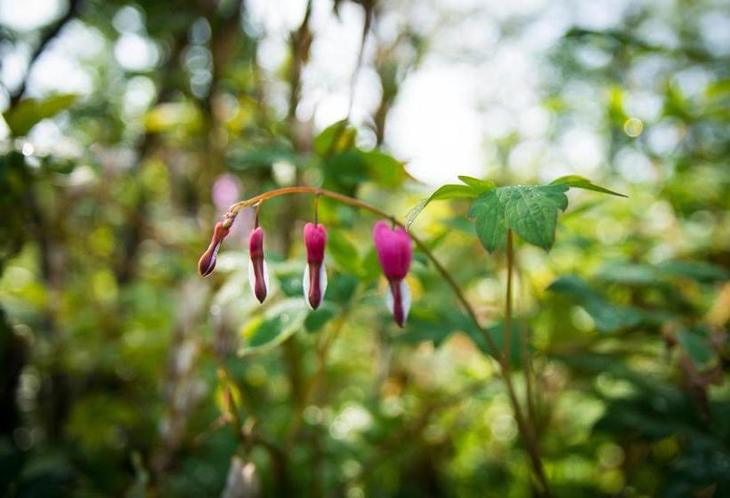 Laura S Bed & Breakfast | Kingston | Ontario | Canada 11