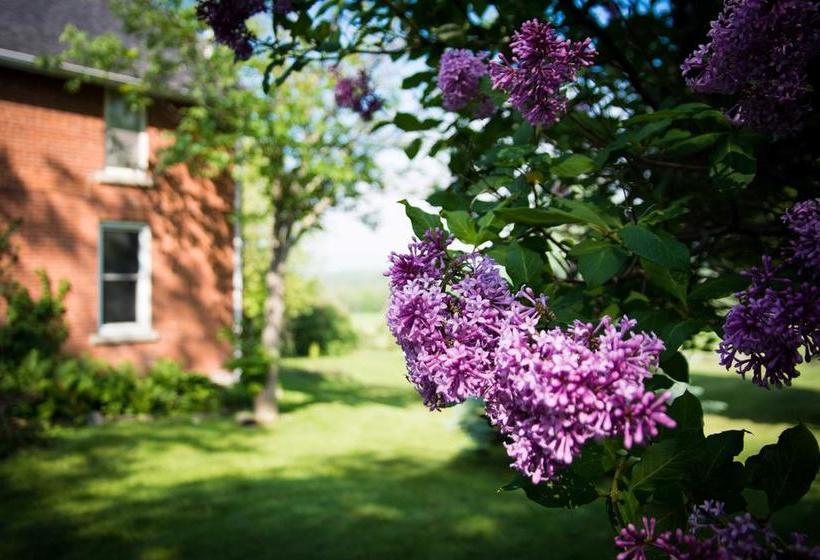 Laura S Bed & Breakfast | Kingston | Ontario | Canada 13