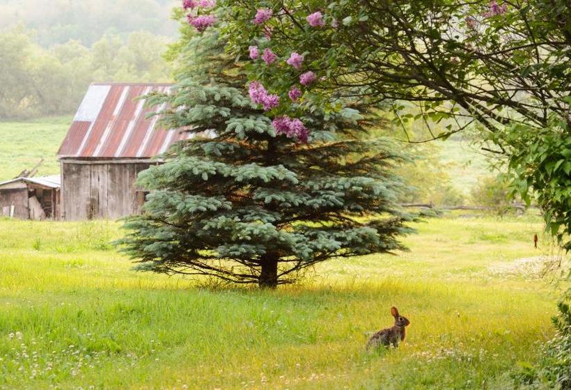 Laura S Bed & Breakfast | Kingston | Ontario | Canada 14