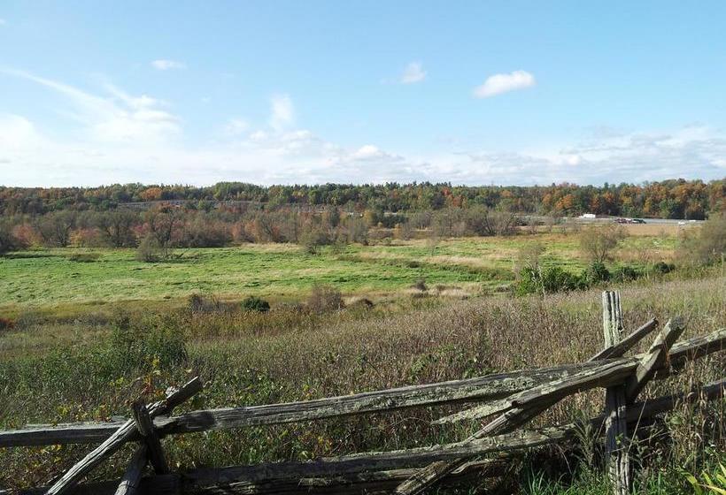 Laura S Bed & Breakfast | Kingston | Ontario | Canada 19