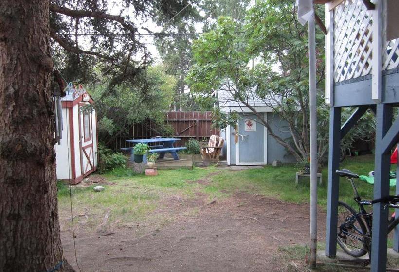 Hostel Beez Kneez Bakpakers | Whitehorse | Yukon Territory | Canada 15