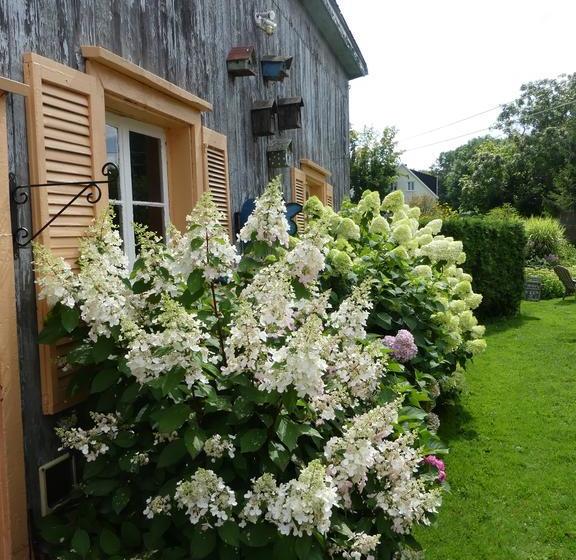 B&b Du Village | Deschambault | Quebec | Canada 14