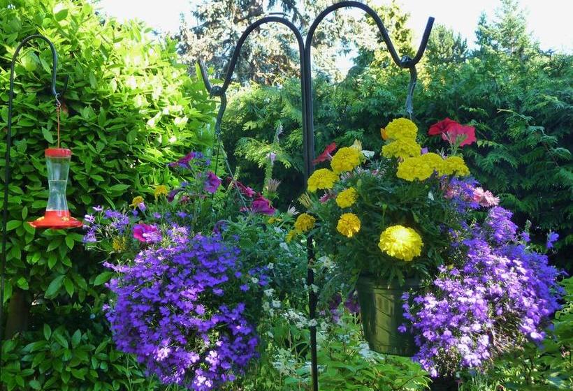 Lavigne Gourmet B&b | Victoria | British Columbia | Canada 13