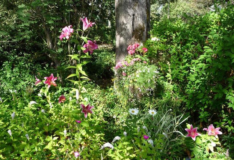 Lavigne Gourmet B&b | Victoria | British Columbia | Canada 15