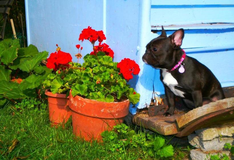 Bed and Breakfast Elizabeth S Rose Cottage | Kingston | Ontario | Canada 6