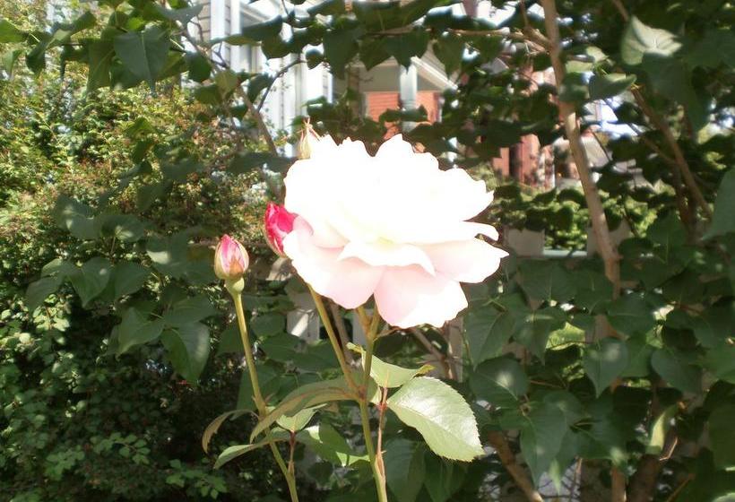 Bed and Breakfast Elizabeth S Rose Cottage | Kingston | Ontario | Canada 8