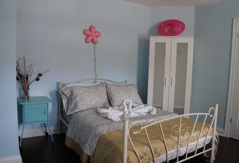 Locarno Hostel | Toronto | Ontario | Kanada 12