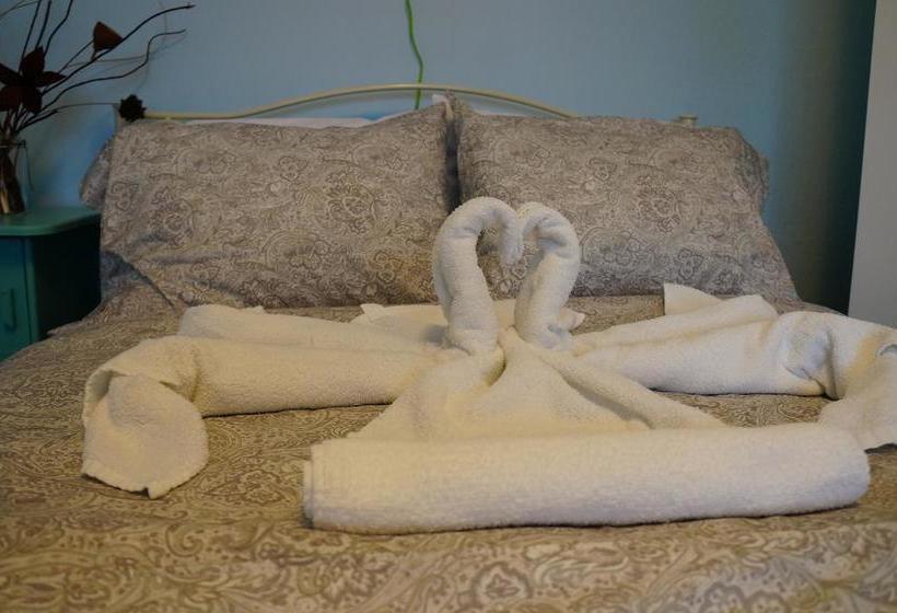 Locarno Hostel | Toronto | Ontario | Kanada 2