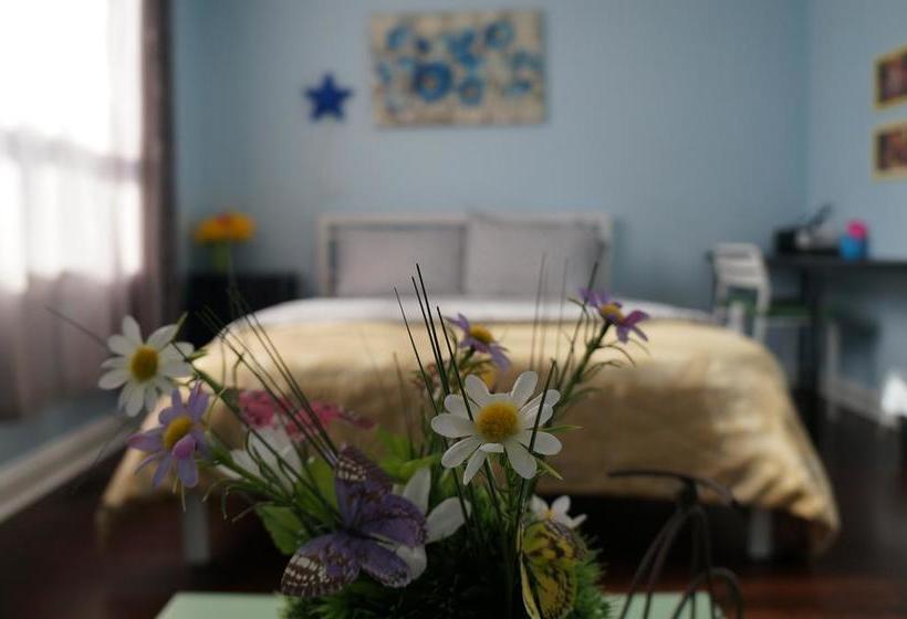 Locarno Hostel | Toronto | Ontario | Kanada 5