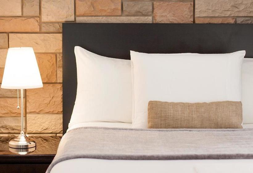 Bed And Breakfast Du Village  Bbv | Montreal | Quebec | Canada 8