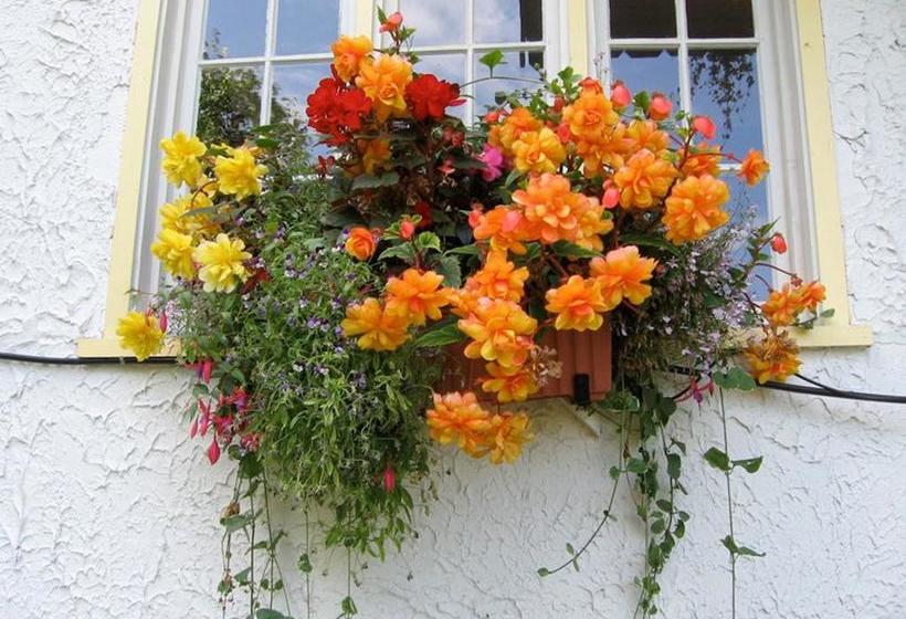 Bed and Breakfast Northland Lodge | Waterton Park | Alberta | Canada 2