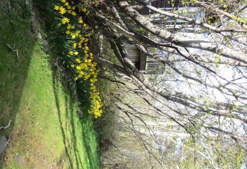 Bed and Breakfast Northland Lodge | Waterton Park | Alberta | Canada 3