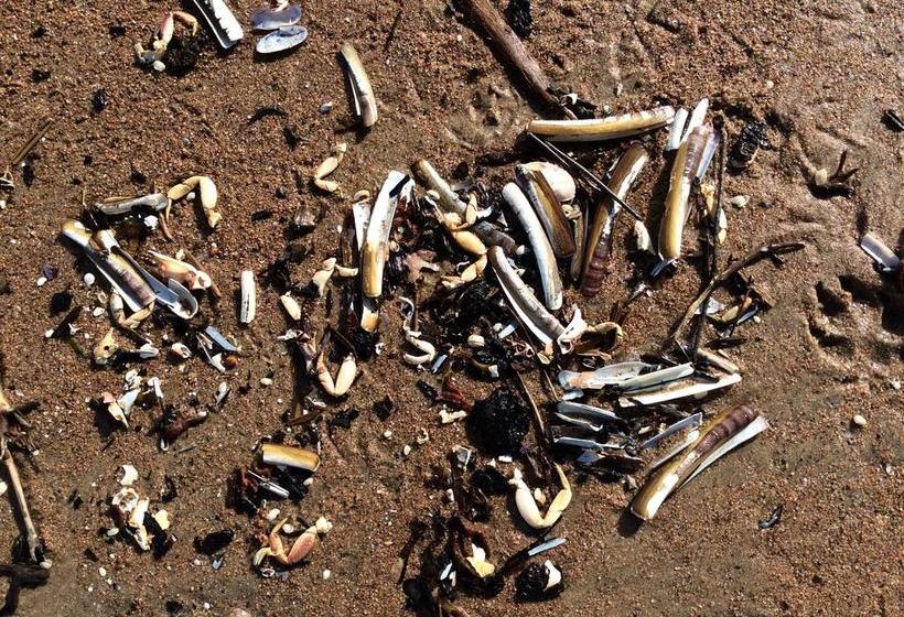 Hostel Auberge Internationale Le Tangon | Sept-Iles | Quebec | Canada 5