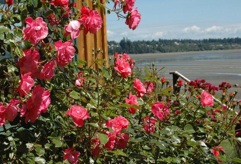 Beach House Bed And Breakfast | Courtenay | British Columbia | Canada 16