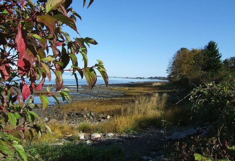 Beach House Bed And Breakfast | Courtenay | British Columbia | Canada 3