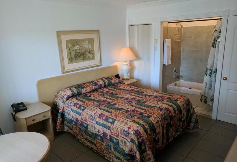 Motel Gatineau | Gatineau | Quebec | Canada 3