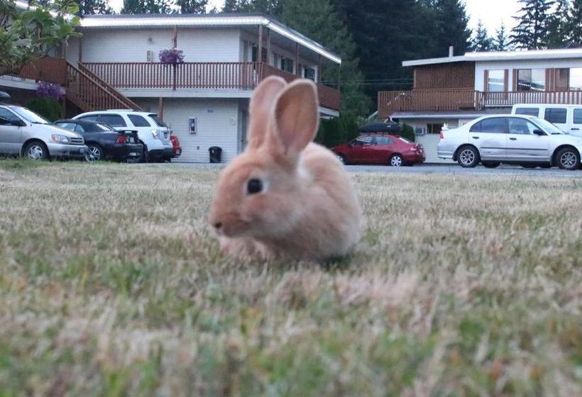 Skylite Motel | Parksville | British Columbia | Canada 3