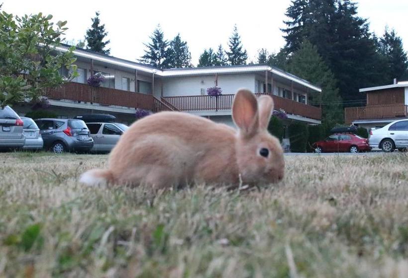 Skylite Motel | Parksville | British Columbia | Canada 4