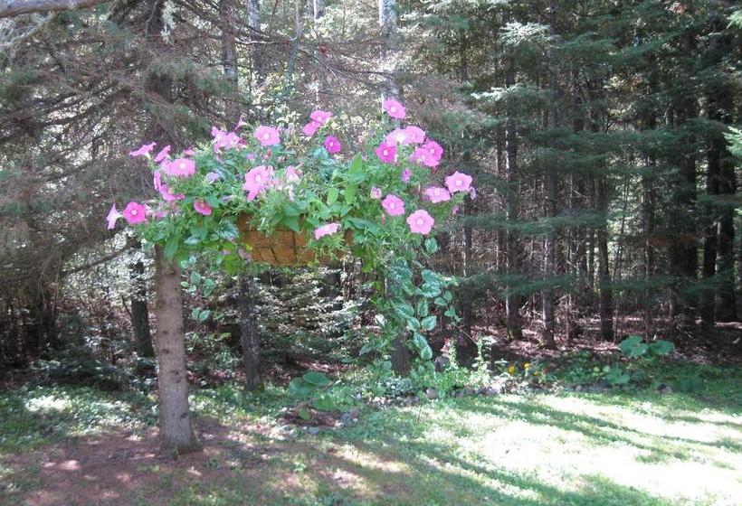 Country Cozy Bed And Breakfast | Thunder Bay | Ontario | Canada 16