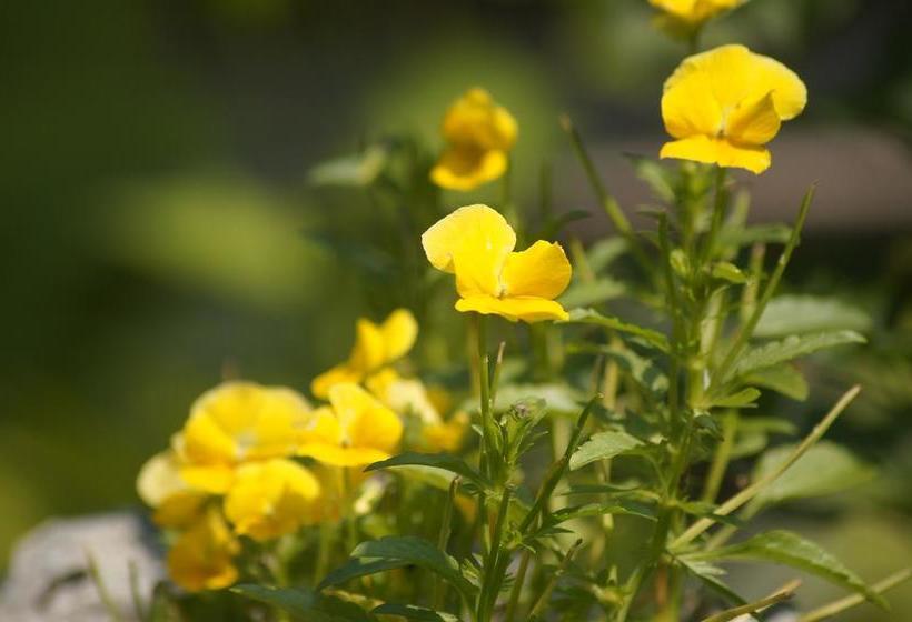 The Calder House Bed & Breakfast | Steinbach | Manitoba | Canada 1