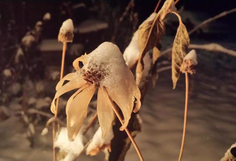 The Calder House Bed & Breakfast | Steinbach | Manitoba | Canada 17