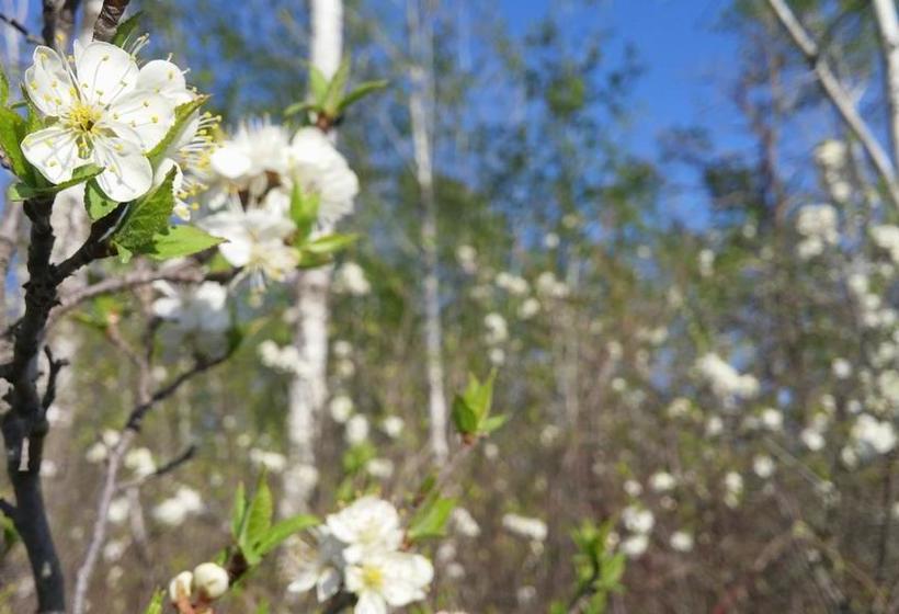 The Calder House Bed & Breakfast | Steinbach | Manitoba | Canada 4