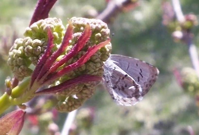 The Calder House Bed & Breakfast | Steinbach | Manitoba | Canada 5