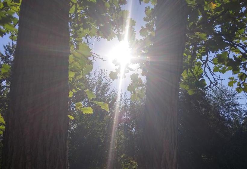 The Calder House Bed & Breakfast | Steinbach | Manitoba | Canada 6