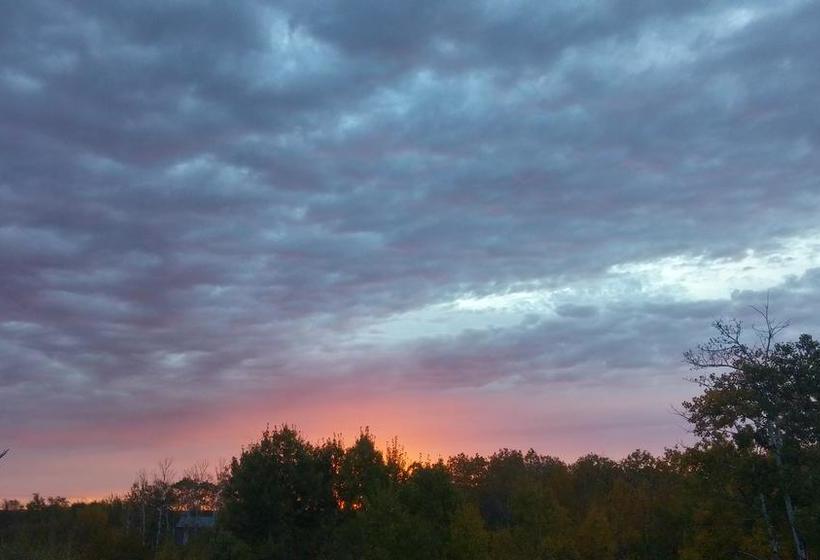 The Calder House Bed & Breakfast | Steinbach | Manitoba | Canada 7