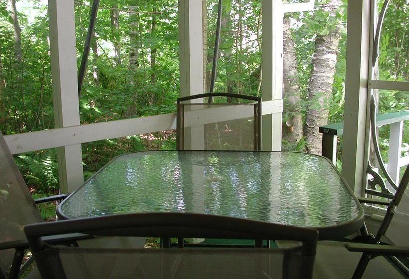 Resort Birch Cliff Lodge On Baptiste Lake | Bancroft | Ontario | Canada 16