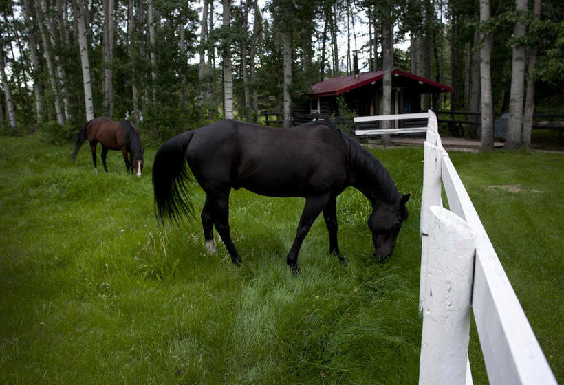 River Road Bed & Breakfast | Grande Prairie | Alberta | Canada 7