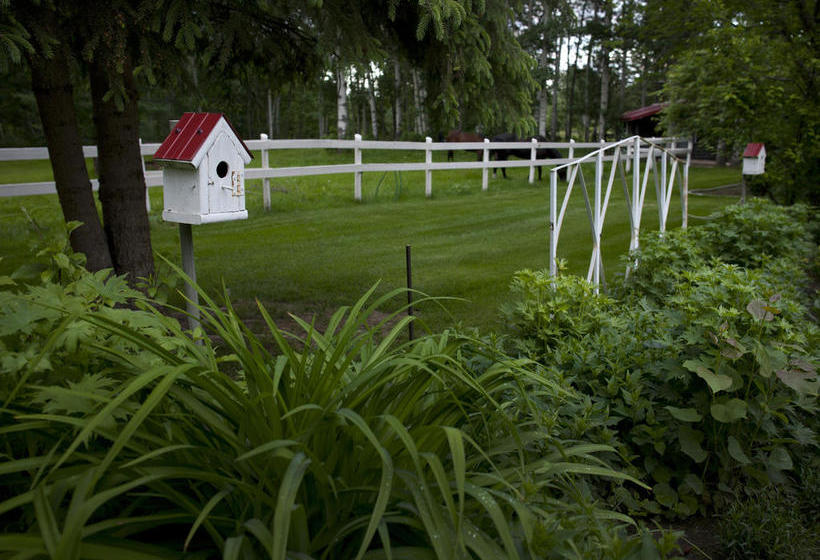 River Road Bed & Breakfast | Grande Prairie | Alberta | Canada 8