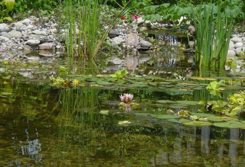 Bondy House Bed & Breakfast | Amherstburg | Ontario | Canada 13