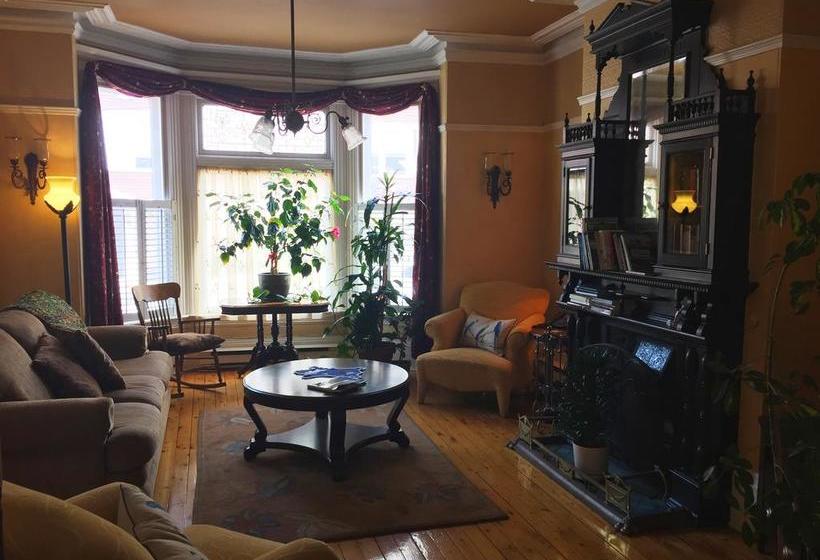 Bed and Breakfast At Wit S Inn Terranova y Labrador