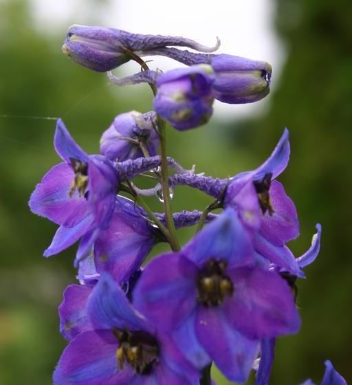 Pumpkin Inn B & B | Port Elgin | New Brunswick | Canada 15