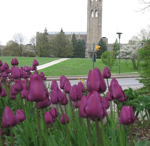 Hotel Western Bed And Breakfast | London | Ontario | Canada 20