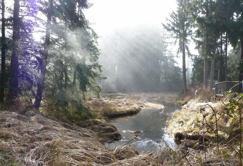 Bed and Breakfast Willow Guest House | Courtenay | British Columbia | Canada 13