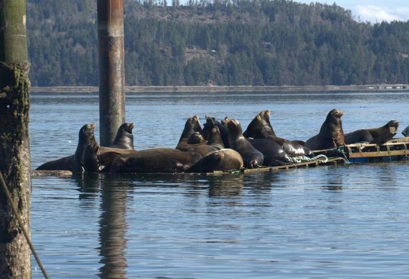 Bed and Breakfast Willow Guest House | Courtenay | British Columbia | Canada 17