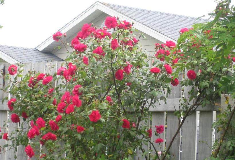 Resort Seascape Costal Retreat | Ingonish | Nova Scotia | Kanada 11