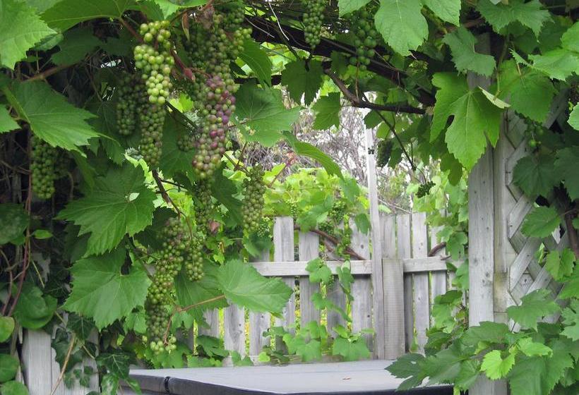 Resort Seascape Costal Retreat | Ingonish | Nova Scotia | Kanada 5