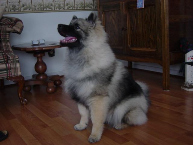 Suncatcher B&b | Truro | Nuova Scozia | Canada 12