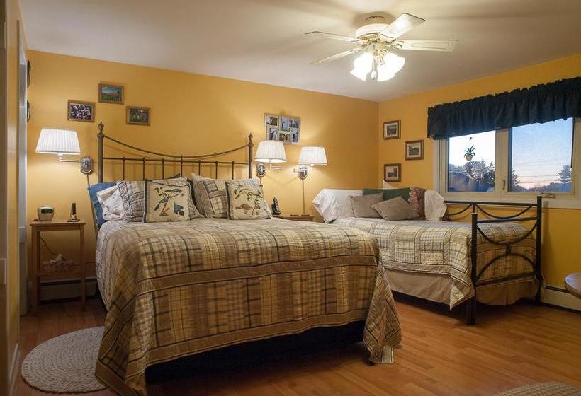 Suncatcher B&b | Truro | Nuova Scozia | Canada 9