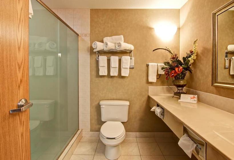 Motel Canalta Stettler | Stettler | Alberta | Canada 19