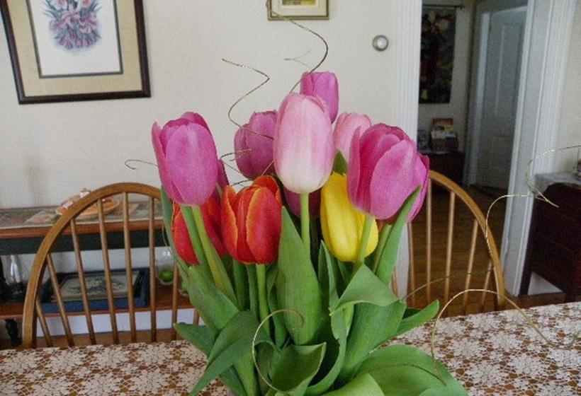 The Colonel S In Bed And Breakfast | Fredericton | New Brunswick | Canada 2